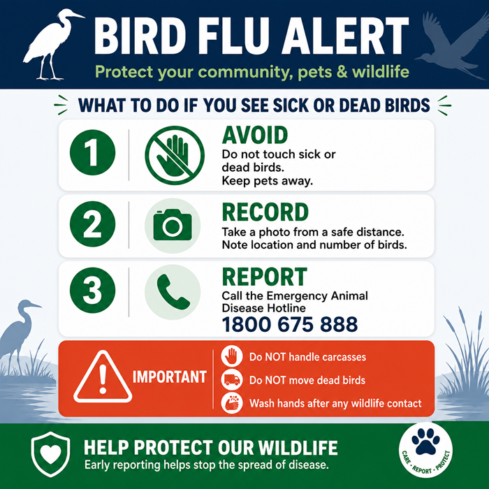 Image: Public Notice – Avian Influenza (Bird Flu) Awareness