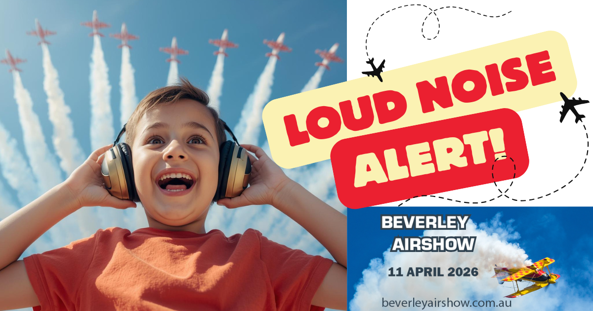 Loud Aircraft Noise Warning